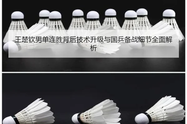 王楚钦男单连胜背后技术升级与国乒备战细节全面解析