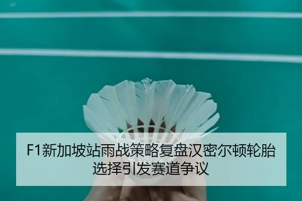 F1新加坡站雨战策略复盘汉密尔顿轮胎选择引发赛道争议